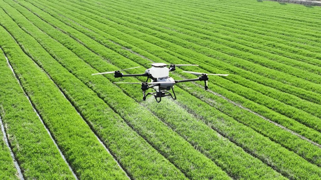 Mapeo Multiespectral NDVI con Dron (por Hectárea)