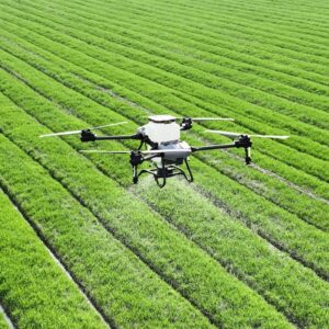 Mapeo Multiespectral NDVI con Dron (por Hectárea)