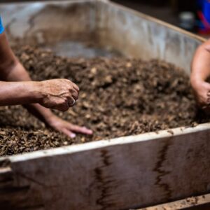 Biofertilizante Concentrado Lixiviado de Agave (Garrafón 20L)